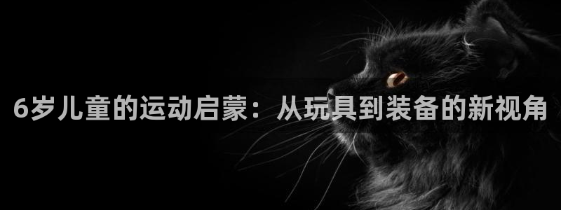 k1体育官方正版app娱乐下载：6岁儿童的运动启蒙：从玩具到