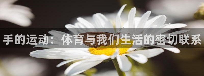 谈球吧体育官网：手的运动：体育与我们生活的密切联系