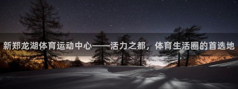 谈球吧：新郑龙湖体育运动中心——活力之都，体育生活圈的首选地