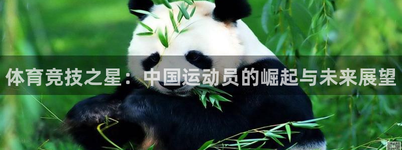 谈球吧体育：体育竞技之星：中国运动员的崛起与未来展望
