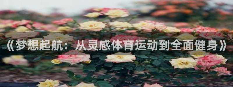 谈球吧体育：《梦想起航：从灵感体育运动到全面健身》