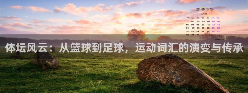 谈球吧：体坛风云：从篮球到足球，运动词汇的演变与传承