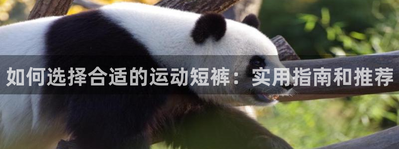 谈球吧