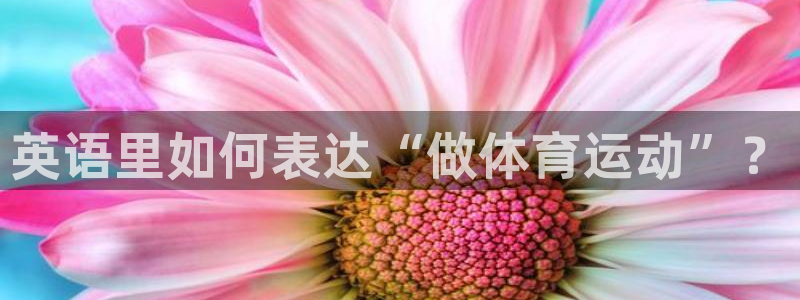 谈球吧体育