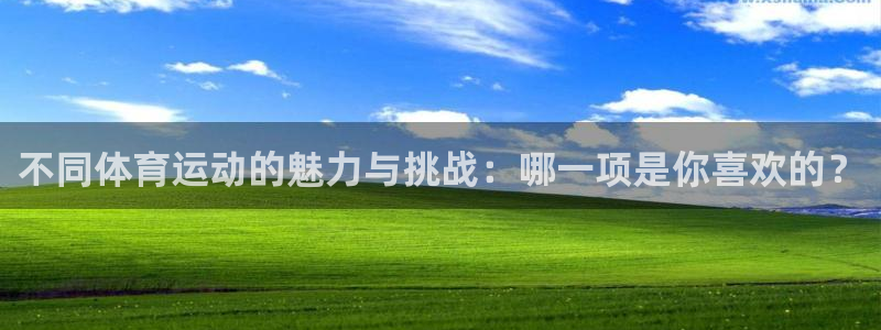 谈球吧：不同体育运动的魅力与挑战：哪一项是你喜欢的？