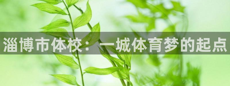 谈球吧