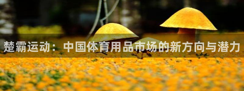 k1体育官网下载平台是正规平台吗：楚霸运动：中国体育