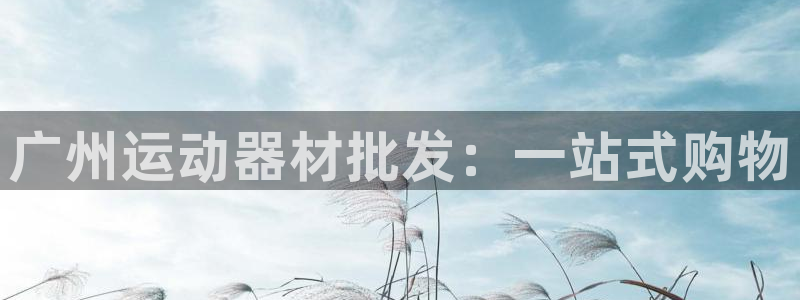 k1体育官网下载：广州运动器材批发：一站式购物