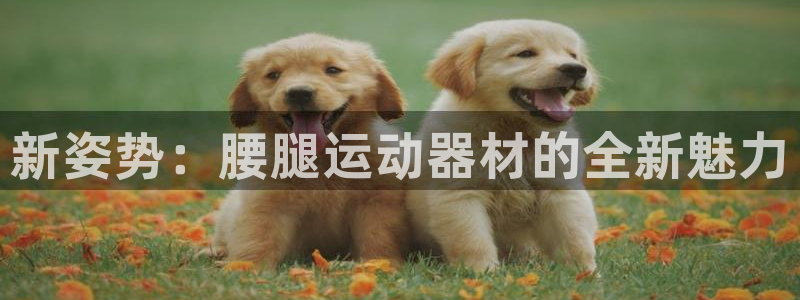 德国k1体育官方正版app集团：新姿势：腰腿运动器材的全新魅