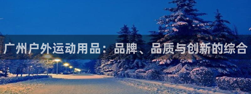 k1体育官方正版app新能源：广州户外运动用品：品牌